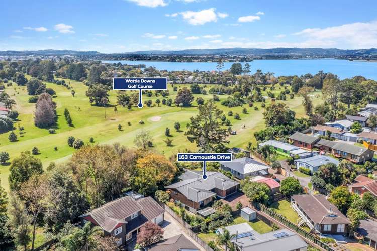 163 Carnoustie Drive Wattle Downs_21