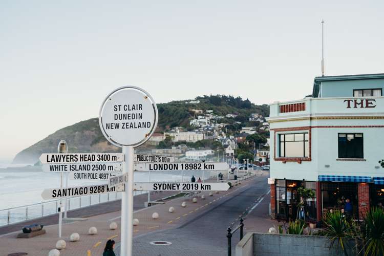 246 Forbury Road Saint Clair_9