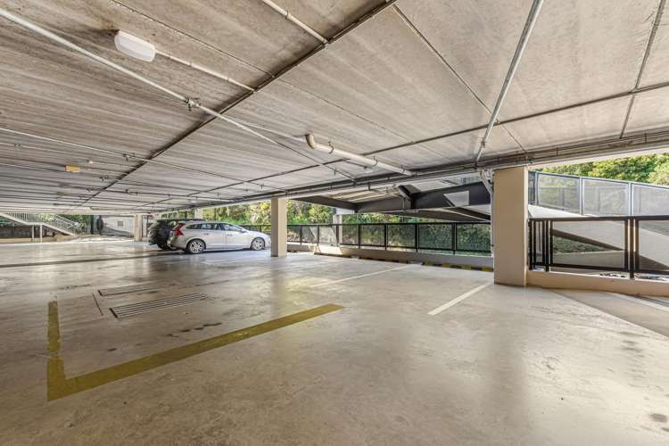 10/7 Bisley Avenue Tahunanui_15