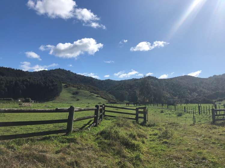 269 Hakarimata Road Ngaruawahia_1