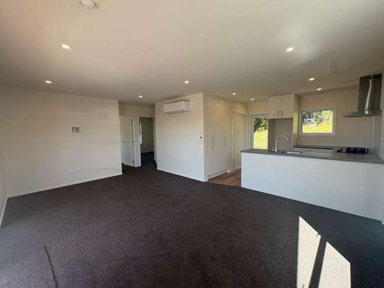 321a Woodstock-Rimu Road Ruatapu_8