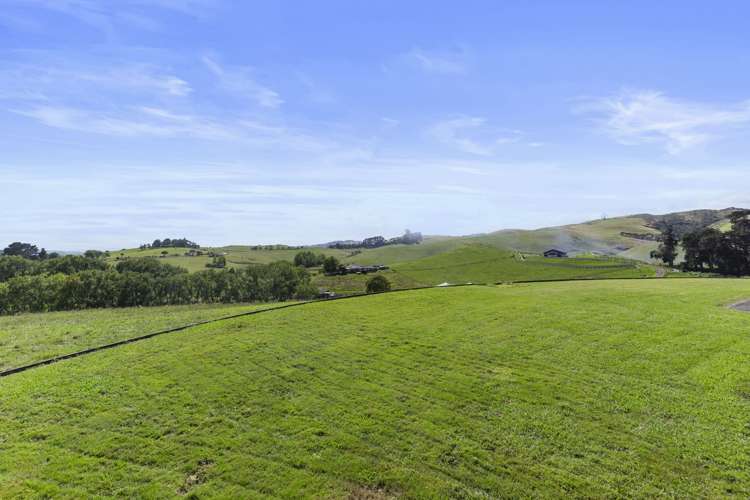 1191 Clevedon Kawakawa Road Kawakawa Bay_18