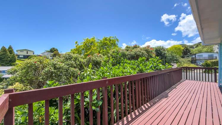 104 Hays Place Thames_9