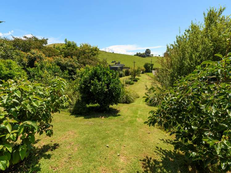 29 Whakamarama Road Whakamarama_25