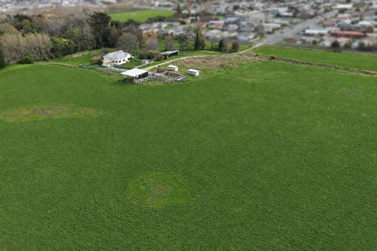 1A College Street Oamaru North_7