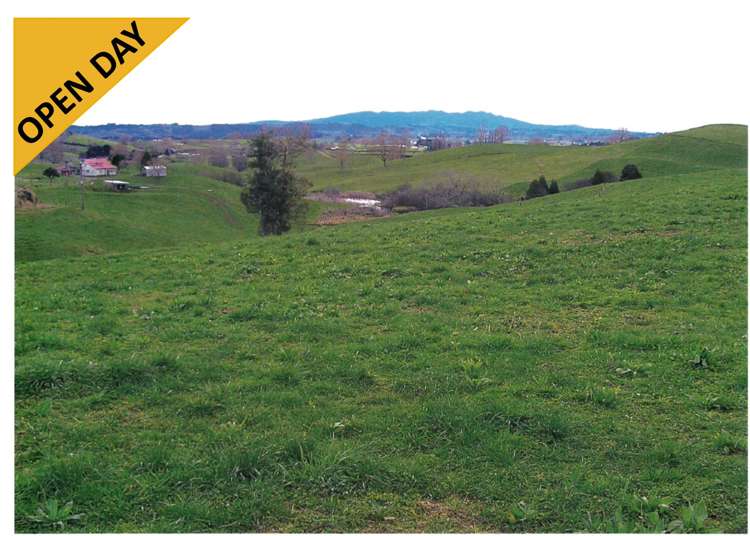 159 Bonner Road Otorohanga_0