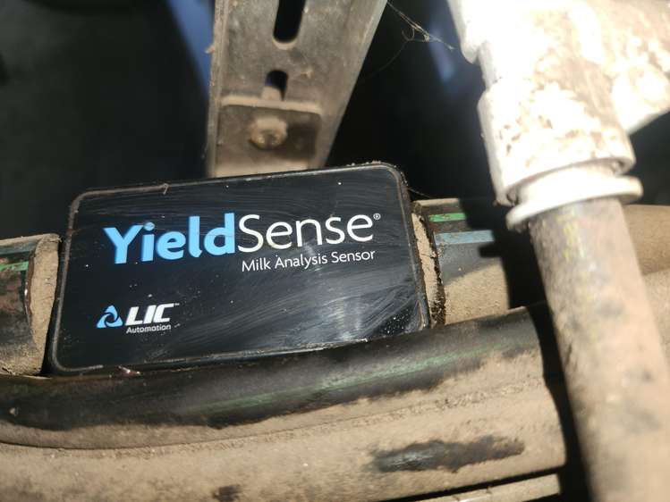 339A South Road Hawera_12