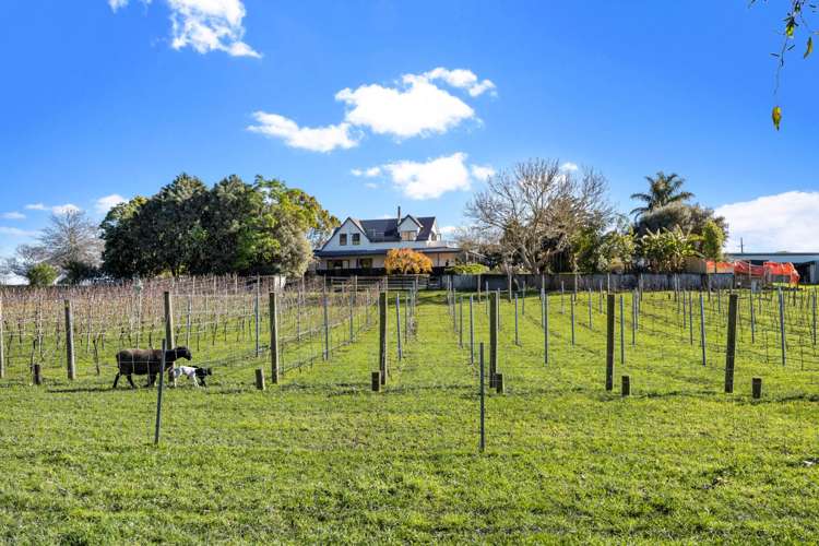 177 Taupaki Road Taupaki_32