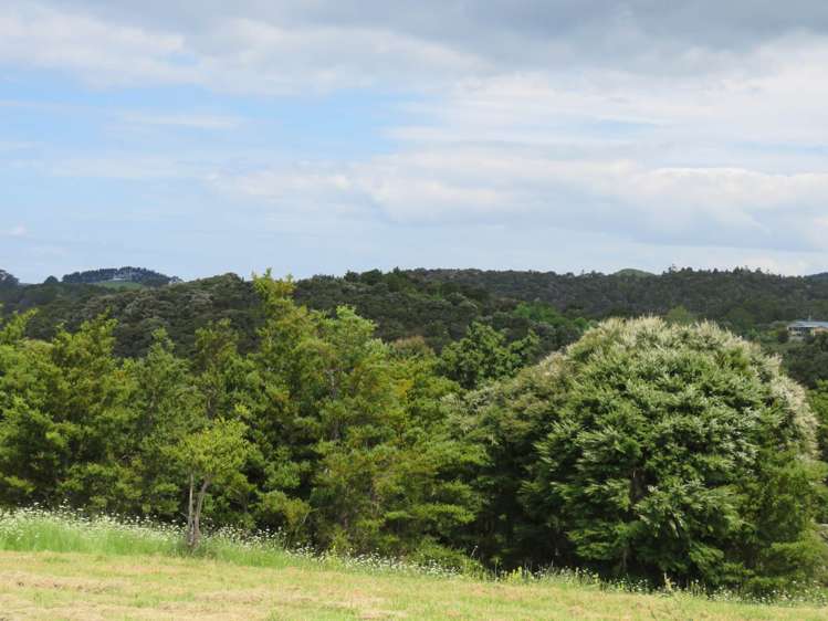 Pataua North Road Pataua_8