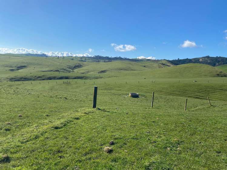84 Tihiroa Road Otorohanga_13