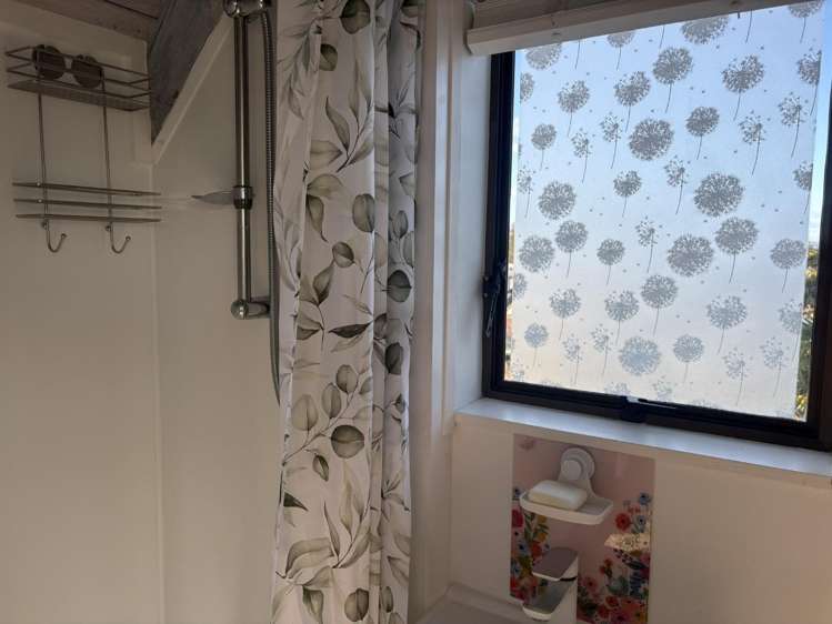54A Rokino Road 11201_12