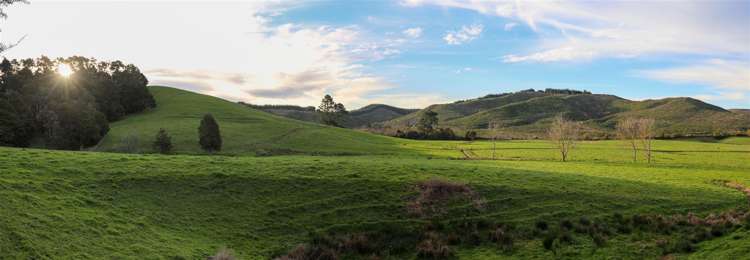 52 Kopuku Road Waerenga_4