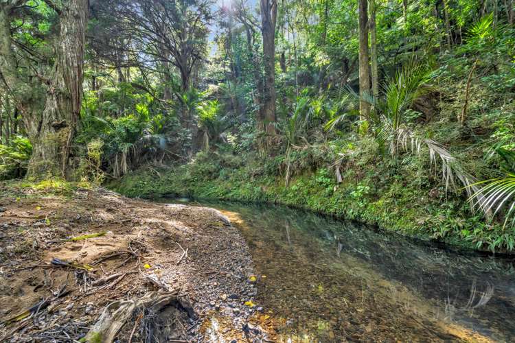 OWHIWA ROAD ONERAHI Onerahi_10