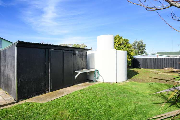 6 Flower Street Bulls_36