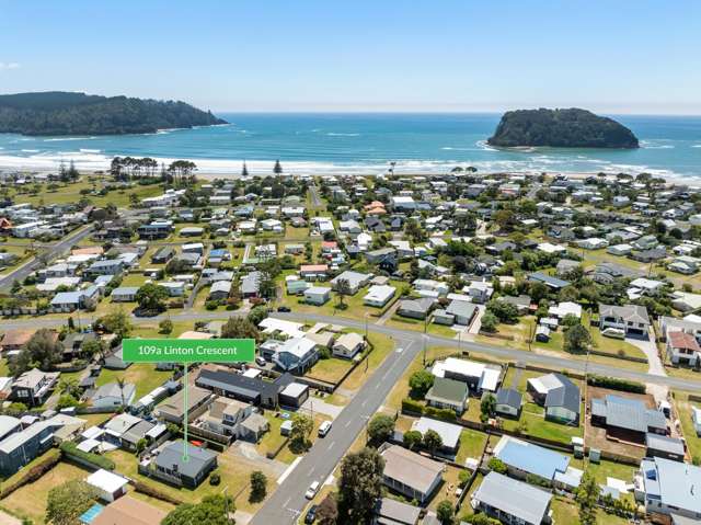109A Linton Crescent Whangamata_1