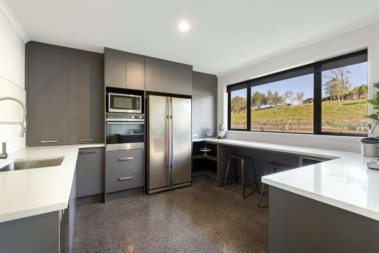 253 Horseshoe Bush Road Dairy Flat_10