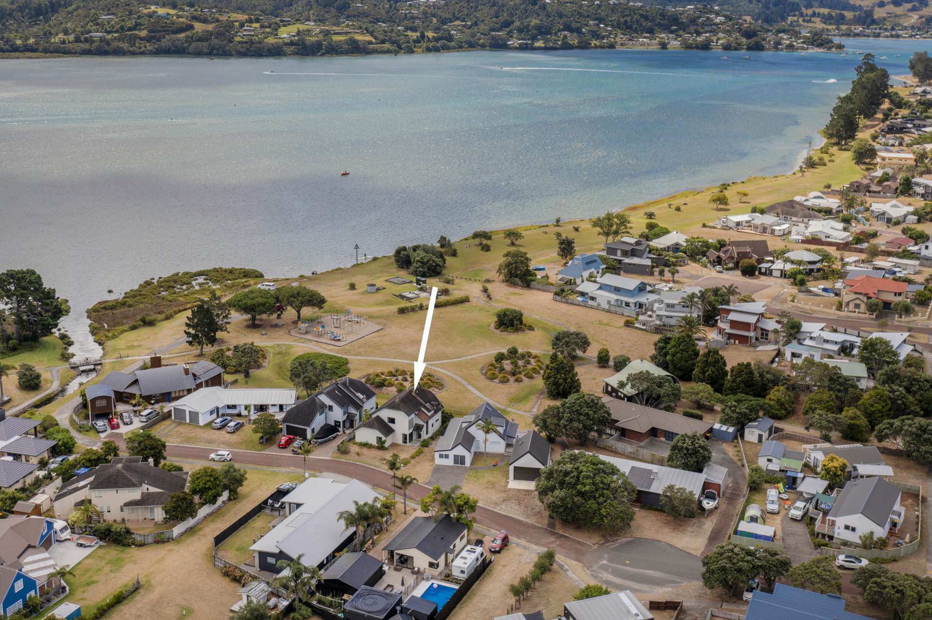 10 Ajax Head Pauanui_0