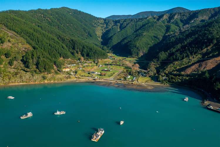 1476 Port Underwood Road Oyster Bay Port Underwood_14