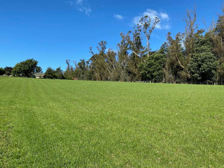 243 Homestead Road Weston_2