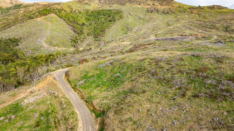 1301 Western Valley Road Port Levy_11