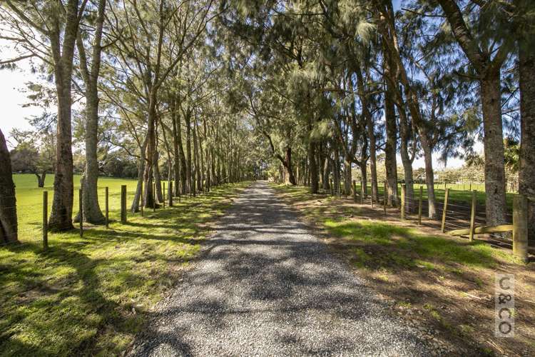 353 Taylor Road Helensville_3