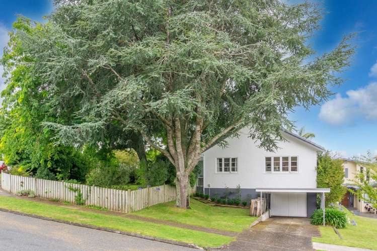 337 Wallace Terrace Te Awamutu_49