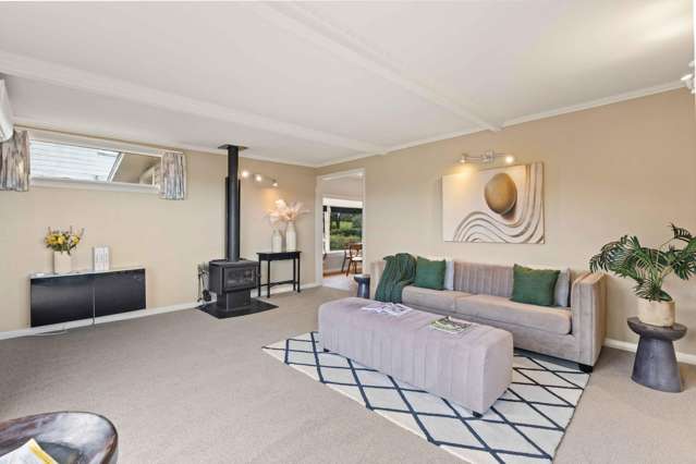 141 Jeffery Street Andersons Bay_1