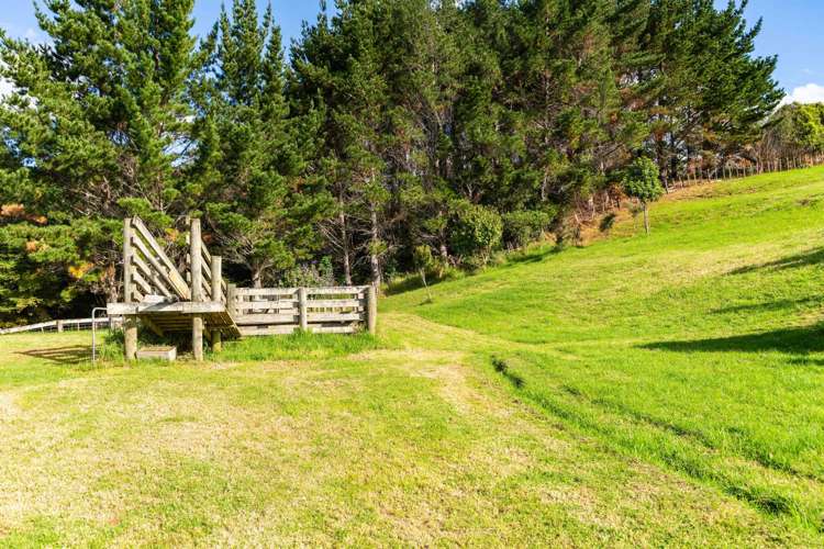 573 Valley Road Kaiwaka_11