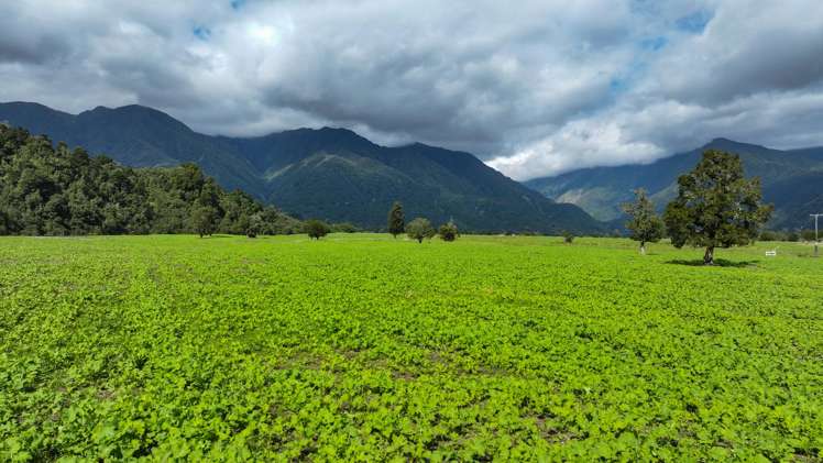 217 Poerua Valley Road Harihari_2