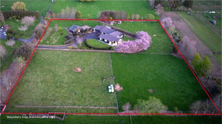 67d Davison Road Newstead_35