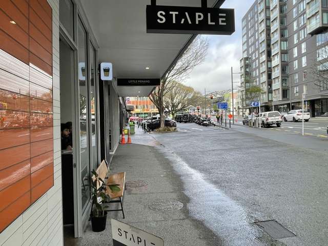 4/175 Victoria Street Te Aro_3