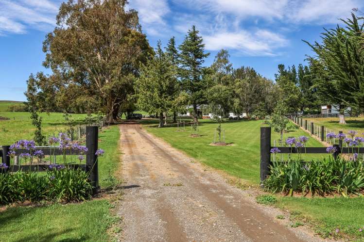 379 Pyramid Valley Road Pyramid Valley_29