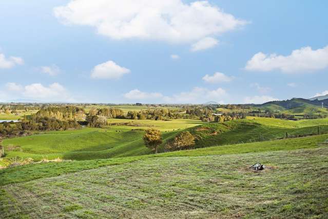 7 Archie Way Whatawhata_2