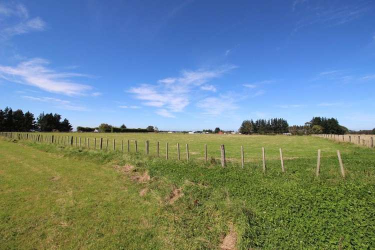 112 Calico Line Marton_57