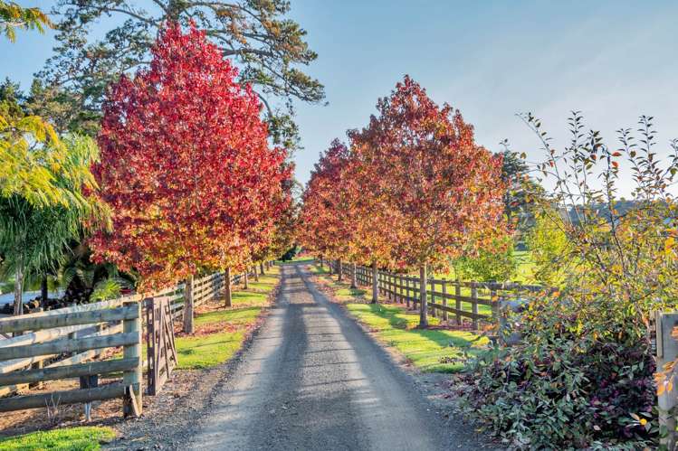 1041 Old North Road Waimauku_56