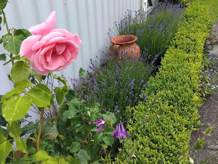 21 Signal Street Marton_31