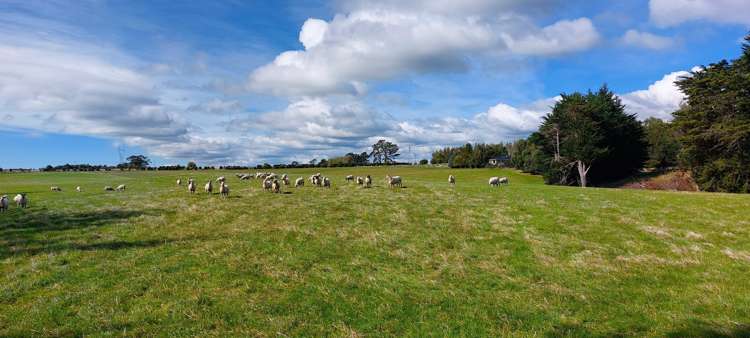 1216 Waimumu Road Waimumu_15