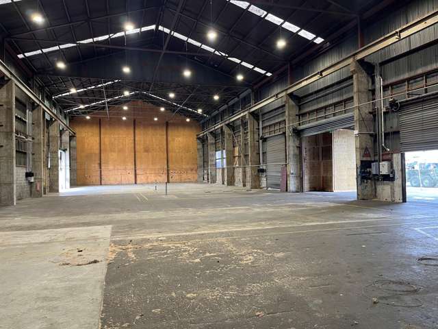 64 Malden Street Roslyn_2