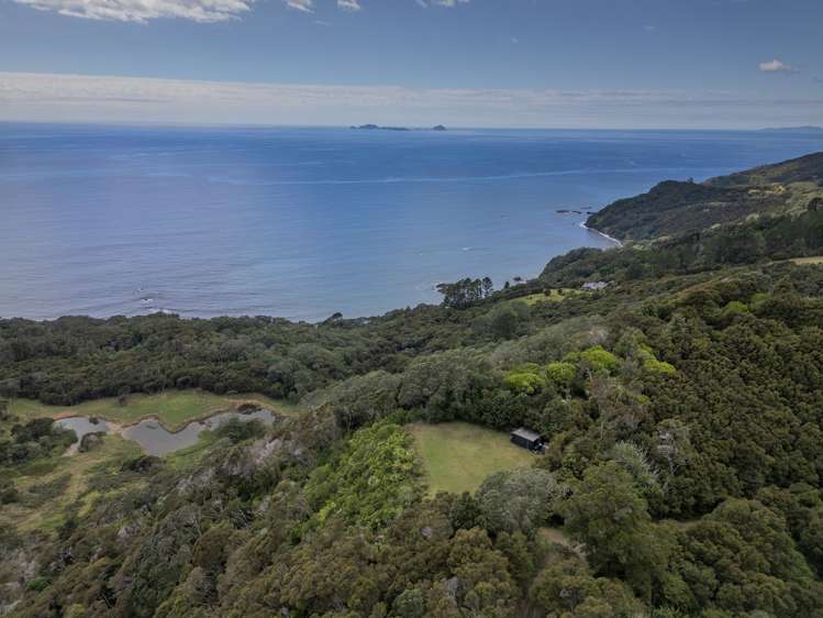 602 Boat Harbour Road Whenuakite_4