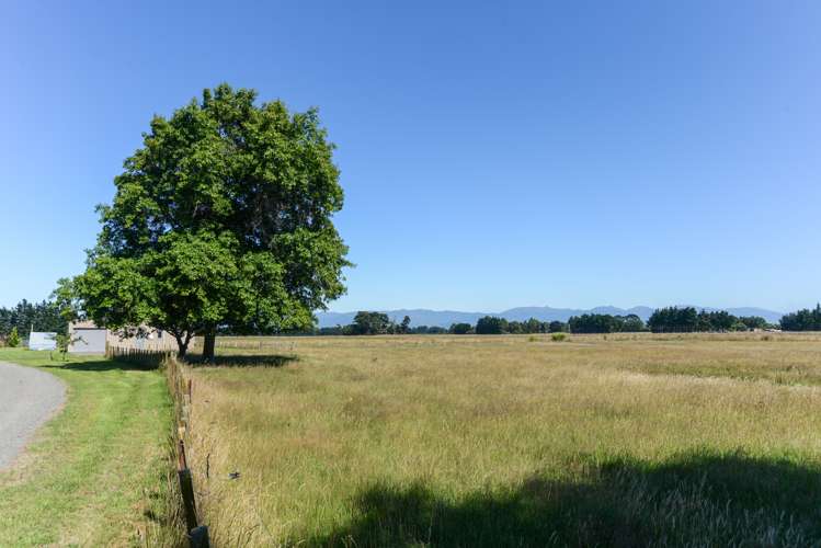 44a Ormondville Road Takapau_14