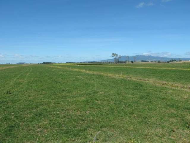 2/795 Tuhikaramea Road Ngahinapouri_2