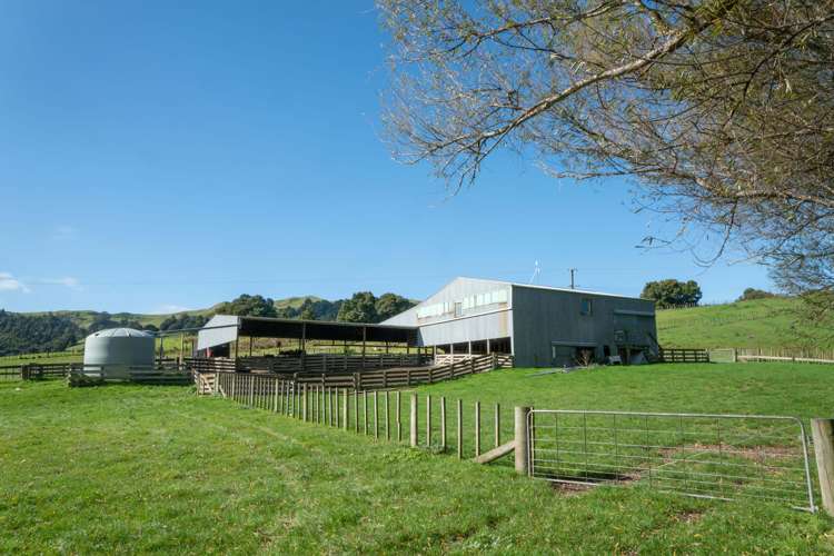 229 Rangikohua Road Tolaga Bay_2