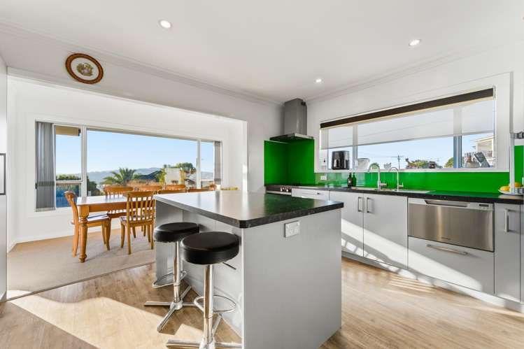 69 Earls Road St Clair_7