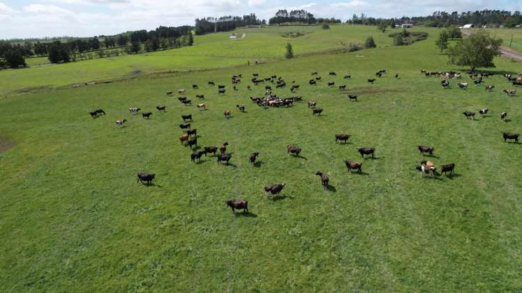 1124 Waiare Road Okaihau_11