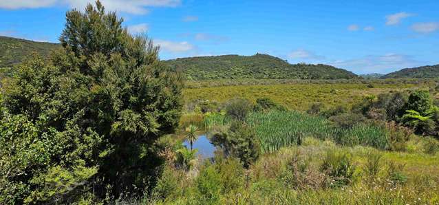 105 Frantoio Ridge Road Mangonui_3