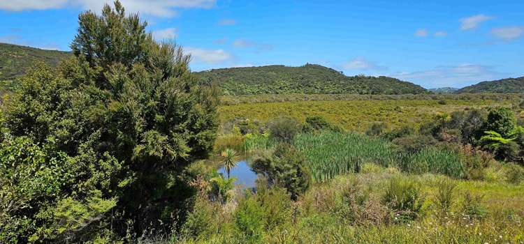 105 Frantoio Ridge Road Mangonui_3