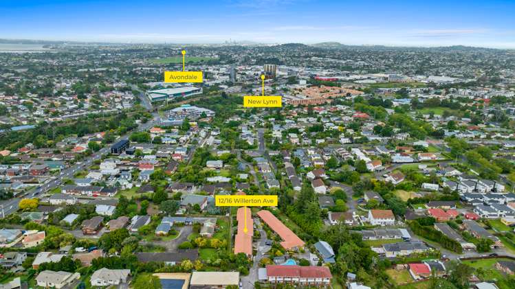 12/16 Willerton Avenue New Lynn_21