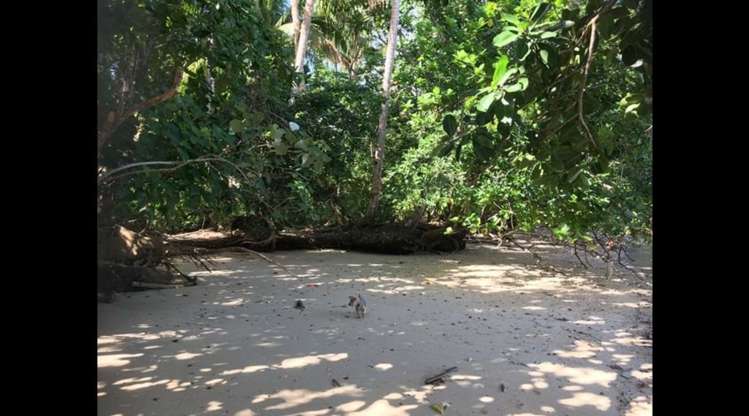 Address withheld Savusavu_32