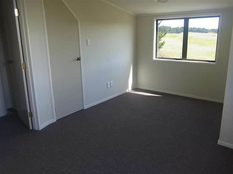 243 Trickers Road Bulls_6