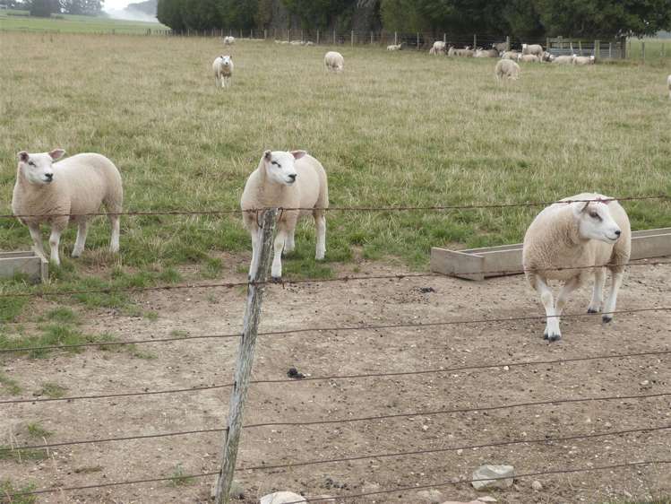 219 Robertson Road Winton Surrounds_29